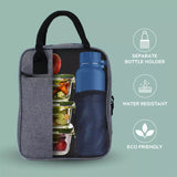 stylish lunch bag