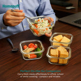 Borosilicate Glass Lunch Box Set (4 x 320ml) – Microwave, Oven & Freezer Safe Tiffin for Office & School